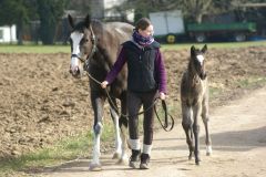 Batya mit ihrem Erstling: Ein Hengstfohlen von Intense Focus. Foto: privat