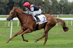 Ein leichter 6-Längen-Sieg nach drei Platzierungen: No Limit Credit gewinnt mit Maxim Pecheur das BBAG Auktionsrennen in Dortmund. www.galoppfoto.de - Stephanie Gruttmann