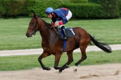 Erster Sieg beim siebten Start: Noble Colonia legt mit Andrasch Starke in Köln ihre Maidenschaft ab. Foto: Dr. Jens Fuchs