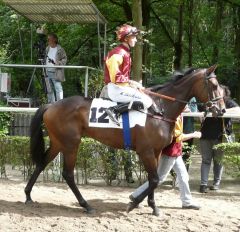 Vancouver Girl vor dem Düsseldorfer Diana-Trial, 17.07.2011 (Foto: Gabriele Suhr)