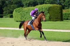 Nutan und Andrasch Starke beim Aufgalopp. Foto: Dr. Jens Fuchs