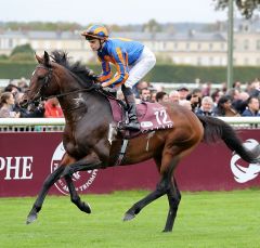 Order of St. George am 1.10.2017 in Chantilly - Foto: Dr. Jens Fuchs