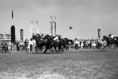 Orsini gewinnt mit Lester Piggott das 88. Deutsche Derby mit einem Hals Vorsprung vor Windfang mit Micky Starosta. ©galoppfoto - Archiv Hilde Hoppe