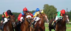 El Okawango (2.v.r.) siegt vor Auvano (l.), Lavallo (2.v.l.) und Earl of Winds (r.) - Foto: Karina Strübbe