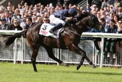 Painted Cliffs siegt in den Railway Stakes. Foto: ITM