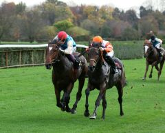 Stall Antanandos Parthenius (rechts) hatte mit Rafael Schistl im Sattel im Ziel knapp die Nüstern vor El Loco (Martin Seidl) - und folgte seinem rechten Bruder Pastorius, der dieses Rennen 2011 gewann und im Jahr darauf Derbysieger wurde. Foto: Dr. Jens Fuchs