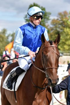 Persian King unter Pierre-Charles Boudot vergangenen September in Chantilly. www.galoppfoto.de - JJ Clark