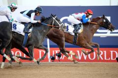 Plus Que Parfait überrascht im UAE Derby. www.galoppfoto.de