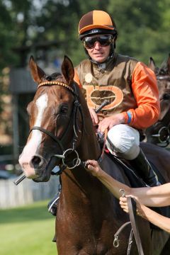 Polski Poseidon mit Wladimir Panov nach dem Sieg in Hoppegarten. www.galoppfoto.de - Sabine Brose