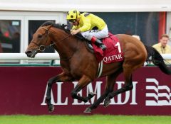 Kleines Trostpflaster für Andrea Atzeni nach dem Verlust des St. Legers: Sieg mit Postponed im Prix Foy. Der Dubawi-Sohn New Bay nach seinem Sieg im Prix Niel im Porträt. Foto: Dr. Jens Fuchs