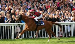 Rollte das Feld von hinten auf und gewinnt in überzeugender Manier: Prince Gibraltar mit Fabrice Veron. Foto: Dr. Jens Fuchs