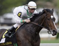 Rachel Alexandra beendet ihre Rennkarriere Ende 2010.