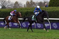 Nach zwei Gruppe I-Siegen in Deutschland jetzt Breeders' Cup-Sieger: Rebel's Romance. www.galoppfoto.de 