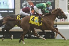 Die Drei-Millionen-Stute Rougir gewinnt die E P Taylor Stakes. Foto: courtesy by Woodbine/Michael Burns