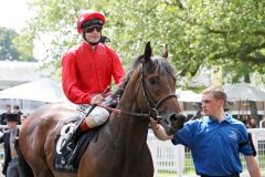 Garswood mit Pat Smullen in Royal Ascot. www.galoppfoto.de - Frank Sorge