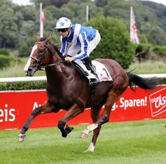 Royal Youmzain gewinnt mit Daniele Porcu am 20.8.2017 in Düsseldorf - Foto: Dr. Jens Fuchs