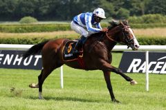 Jaber Abdullahs Royal Youmzain auf dem Weg zum Sieg im Ittlingen-Derby-Trial. Foto: Dr. Jens Fuchs