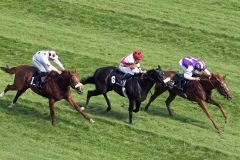 Salve Annetta gewinnt mit Michael Cadeddu das 3yo-Maiden über 1.800m. www.galoppfoto.de