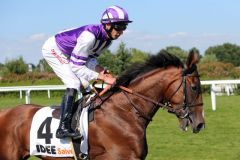 Salve del Rio mit Michael Cadeddu beim Aufgalopp zum IDEE 149. Deutschen Derby, in dem er Vierter wurde. www.galoppfoto.de - Frank Sorge