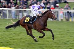 Salve Venezia gewinnt mit Marc Lerner im April 2016 in Hoppegarten. www.galoppfoto.de - Frank Sorge