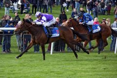 Mit fünf Jahren gelang Salve Venezia, Enkelin der Champion-Stute Salve Regina, der erhoffte Black Type-Treffer mit Filip Minarik im Sattel. www.galoppfoto.de - Sabine Brose