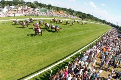 Auf der Zielgeraden: Die ersten zehn Pferde liegen gerade mal knapp drei Längen auseinander. Die Voraussage, dass das Feld im IDEE 153. Deutschen Derby ein sehr ausgeglichenes ist, hat sich bestätigt. ©galoppfoto - Sabine Brose 