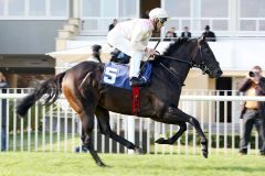 Sapphire mit Terence Hellier beim Aufgalopp in Baden-Baden. www.galoppfoto.de - John James Clark