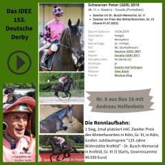 Geht mit der Nr. 8 ins IDEE 153. Deutsche Derby - Schwarzer Peter. ©galoppfoto - Turf-Times - Dr. Jens Fuchs