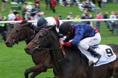 Shazaam (rechts) gewinnt mit Andrasch Starke in Hannover. www.galoppfoto.de - Frank Sorge