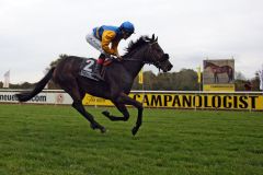 Sicherer Sieg für den Kallisto-Sohn Nordvulkan mit Alexander Piesch und ein weiterer Treffer für Roland Dzubasz im Kampf ums Trainer-Championat. www.galoppfoto.de - Frank Sorge