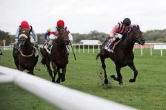 Wieder ein Erfolg für Lomitas: Silvaner (rechts) mit Filip Minarik gewinnt die Baden-Württemberg-Trophy. www.galoppfoto.de