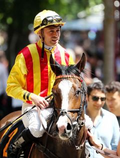 Silver Cloud und Daniele Porcu gewinnen am 5.6.2017 Köln - Foto: Dr. Jens Fuchs