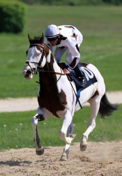 Silvery Moon mit Andrasch Starke am 10.05.2015 beim Aufgalopp in Köln. Foto: Dr. Jens Fuchs