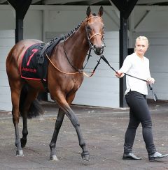 Sir Benny am 16.7.2017 in Köln - Foto: Dr. Jens Fuchs