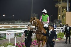 Darius Racings Sisfahan, Derbysieger von 2021, war der einzige deutsche Starter bei den Einladungsrennen rund um den Saudi Cup in Saudi Arabien auf der Rennbahn in Riyadh. ©galoppfoto - Jimmy Clark 