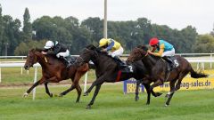 Pferde mit Star-Potential im Zweijährigen-Rennen: Skarino Gold (Michael Cadeddu) vor dem Novellist-Bruder Nerud (Eduardo Pedroza) und Windstoß (Adrie de Vries). Foto: Dr. Jens Fuchs