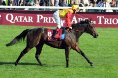 Snow Fairy mit Lanfranco Dettori beim Aufgalopp zum Arc 2011. www.galoppfoto.de