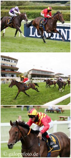 Sommelier präsentiert sich mit Andrasch Starke im Listenrennen über 2.800m stark gesteigert, Zweite wird Gestüt Höny-Hofs All for Rome . www.galoppfoto.de - Sabine Brose