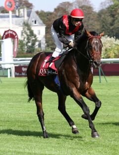 Sommerabend mit Theo Bachelot beim Aufgalopp zum Prix Daniel Wildenstein, nach seinem 3. Platz wurde bekannt, dass der Sharmadal-Sohn aus Schlenderhaner Zucht, der zuletzt in den Farben des Stalles Am Alten Flies gelaufen ist, ab 2015 im Haras de Saint Arnoult in der Normandie in Frankfreich als Deckhengst aufgestellt wird. Foto: Dr. Jens Fuchs