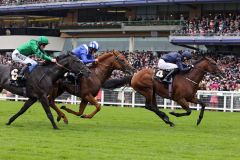 Sorgte für eine Überraschung gleich zum Auftakt des Royal-Ascot-Meetings - Declaration Of War holt sich in den Queen Anne Stakes den ersten Gr. I-Treffer. www.galoppfoto.de - Frank Sorge