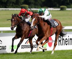 Space Cowboy gewinnt gegen Boscaccio am 21.5.2017 in Köln - Foto: Dr. Jens Fuchs