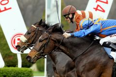 Spannendes Finish im Preis der Turf Times-Freunde  mit  Rockmount River (innen) unter Jozef Bojko an der Spitze vor Early Morning (Filip Minarik). www.klatuso.com - Klaus-Jörg Tuchel