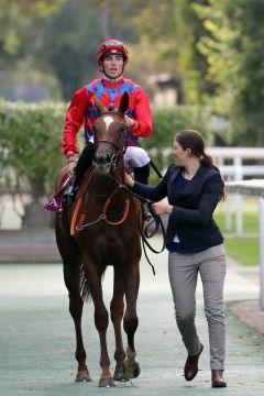 Spectre am 11.09.2016 in Chantilly (Foto: Dr. Jens Fuchs)