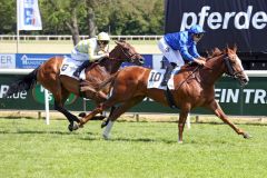 Die blauen Godolphin-Farben sind vorne: Spring Promise gewinnt mit Soufiane Saadi für Trainer Henri Alex Pantall. ©galoppfoto - Sabine Brose