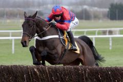 Sprinter Sacre. Foto: Toby Connors