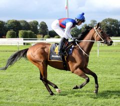 Stamford Raffles  am 17.9.2017 in Dortmund - Foto: Dr. Jens Fuchs