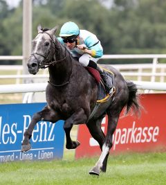 Straegie Bleu siegt am 24.6.2018 in Dortmund - Foto: Dr. Jens Fuchs