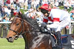 Der Maxios-Sohn Suprimo holt sich mit Andre Best im den Ittlinger Farben den Sieg im Maiden über 1.400m. www.galoppfoto.de - Sabine Brose