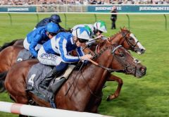 The Foxes überrascht in den Royal Lodge Stakes. Foto: courtesy by Coolmore