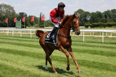 Tiara Hilleshage mit Sean Byrne beim Aufgalopp vor ihrem Rennbahn-Debüt in Köln, wo sie Fünfte wurde. ©Dr. Jens Fuchs